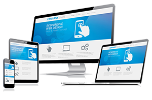 Beezzz Website Designing